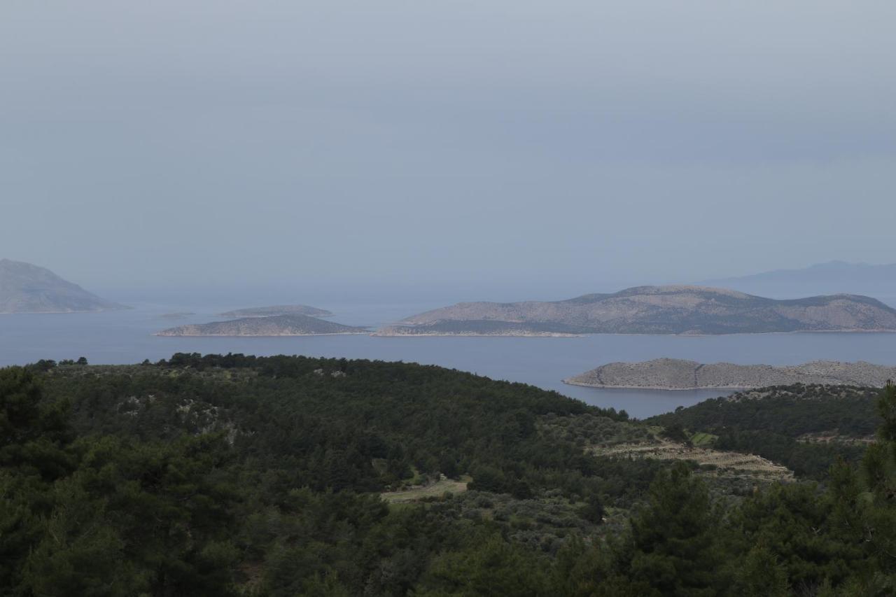 Echo Traditional House - Ηχώ Παραδοσιακό Σπίτι Émbonas Esterno foto