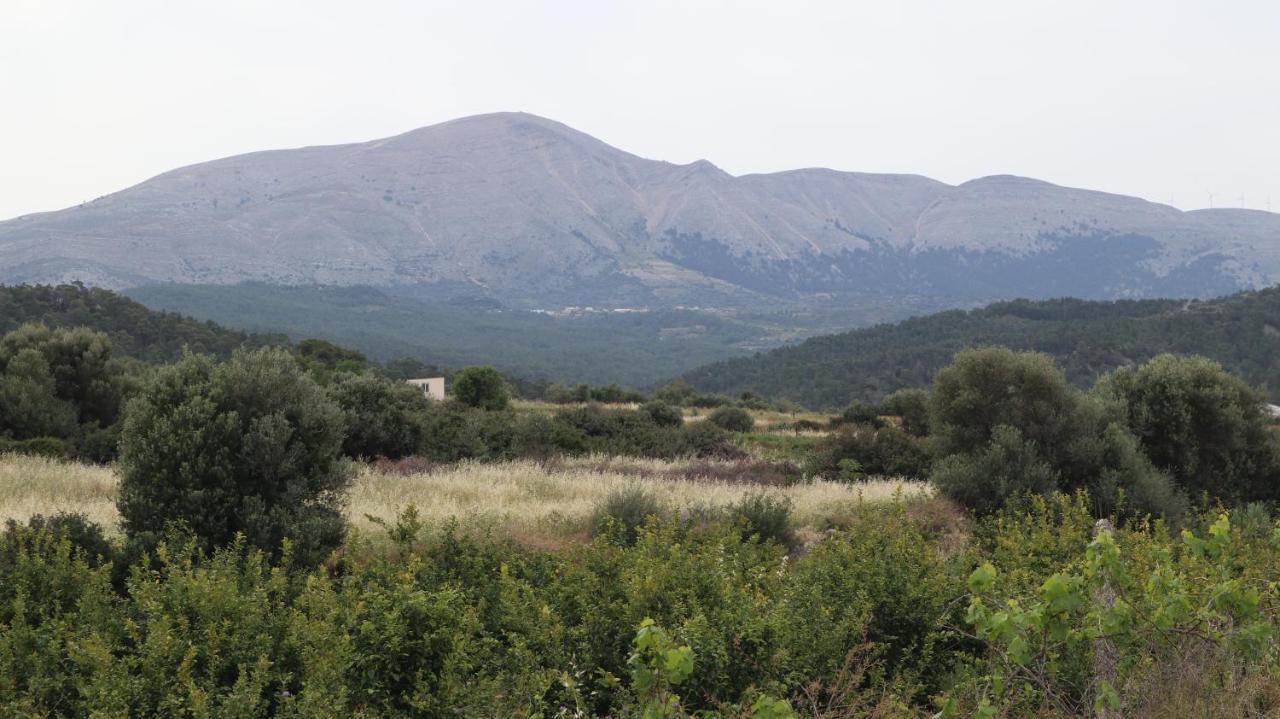Echo Traditional House - Ηχώ Παραδοσιακό Σπίτι Émbonas Esterno foto