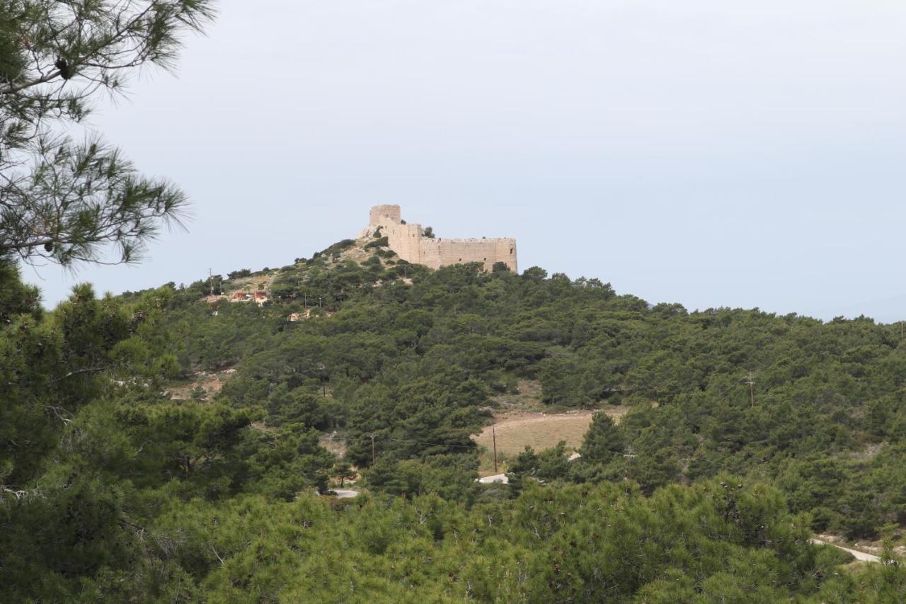 Echo Traditional House - Ηχώ Παραδοσιακό Σπίτι Émbonas Esterno foto