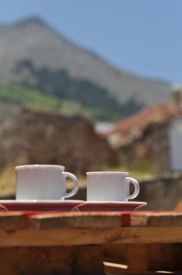 Echo Traditional House - Ηχώ Παραδοσιακό Σπίτι Émbonas Esterno foto